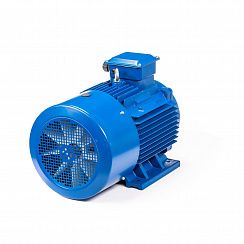 Электродвигатель 5АИ 200 М6 22/1000 IM1001