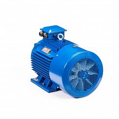 Электродвигатель 5АИ 200 М6 22/1000 IM1001