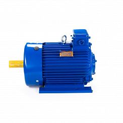 Эл.двигатель 5МТКН 200 LB6 30/1000  IM 1003