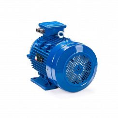 Электродвигатель ESQ 100 LС4-SDN- 4/1500 IMB34