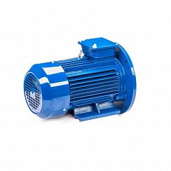 Электродвигатель 5АИ 100 L6 ED 2,2/1000 IM2081