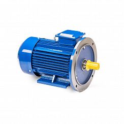 Эл.двигатель 5АИ 100 L4 ET 4/1500  IM 2081