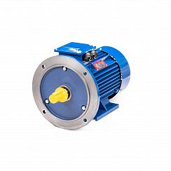 Электродвигатель 5АИ 100 L4 4/1500 IM2081