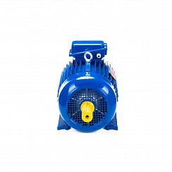 Электродвигатель 5МТКН 111-6 3,5/1000 IM1001