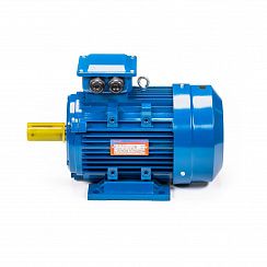 Электродвигатель 5АИ 100 S2 4/3000 IM1081