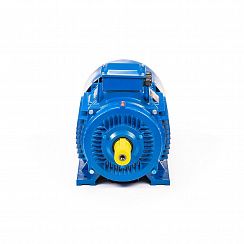 Электродвигатель 5АИ 200 М6 22/1000 IM1001