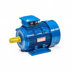 Электродвигатель 5АИ 100 L4 4/1500 IM1081