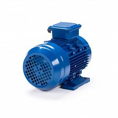 Электродвигатель ESQ 63 A4-SDN- 0,12/1500 IMB34