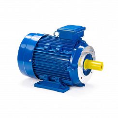 Электродвигатель ESQ 100 LС4-SDN- 4/1500 IMB34