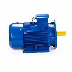Электродвигатель ESQ 100 LB4-SDN- 3/1500 IMB35