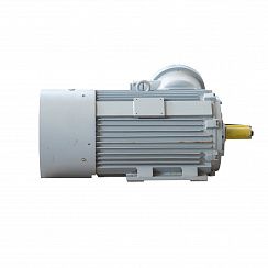Электродвигатель 2АИМУР 315 L6 У1, 380/660В, класс изоляции F, 1ExdIIBT4 Gb, РТС (статор), подшипники SKF, 200/1000 IM1001