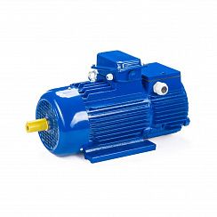 Электродвигатель 5МТН 280 L8 90/750 IM1003