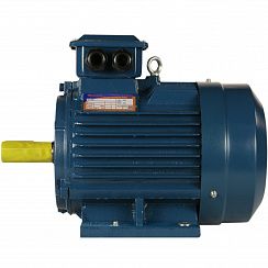 Электродвигатель 5АИ 100 L6 ET 2,2/1000 IM1081