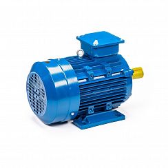 Электродвигатель 5АИ 100 L4 4/1500 IM1081