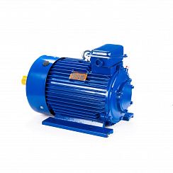 Эл.двигатель 5MTКH 200 LB8 22/750  IM 1003