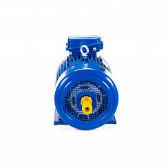 Электродвигатель 5МТКН 225 L8 37/750 IM1003