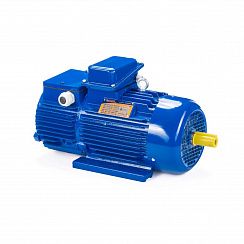 Эл.двигатель 5МТН 200 LA8 15/750  IM 1003