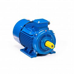Электродвигатель 5АИ 200 М8 18,5/750 IM1001