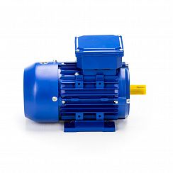 Электродвигатель 5АИ 63 В4 0,37/1500 IM1081