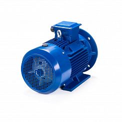 Электродвигатель ESQ 100 L6-SDN- 1,5/1000 IMB35