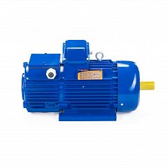 Эл.двигатель 5МТН 200 LA8 15/750  IM 1003
