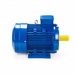 Электродвигатель ESQ 100 LС4-SDN- 4/1500 IMB34