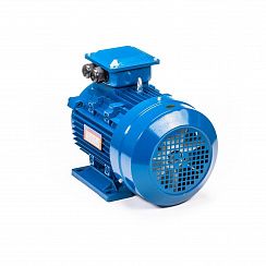 Электродвигатель 5АИ 112 М2 7,6/3000 IM1081