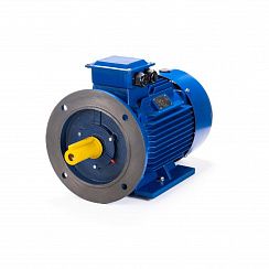 Электродвигатель ESQ 100 LB4-SDN- 3/1500 IMB35