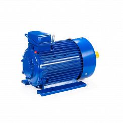 Электродвигатель 5МТКН 225 L8 37/750 IM1003
